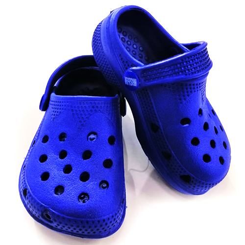 water fish footwear