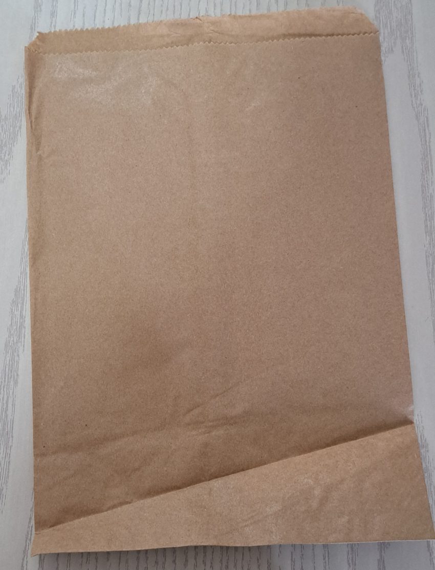 PAPER BAG (21X30CM)(PACK OF 100)